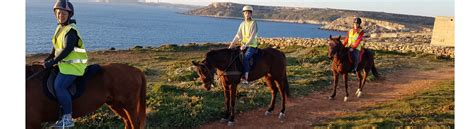 golden bay horse riding stables.